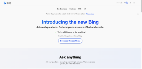 introducing the new bing